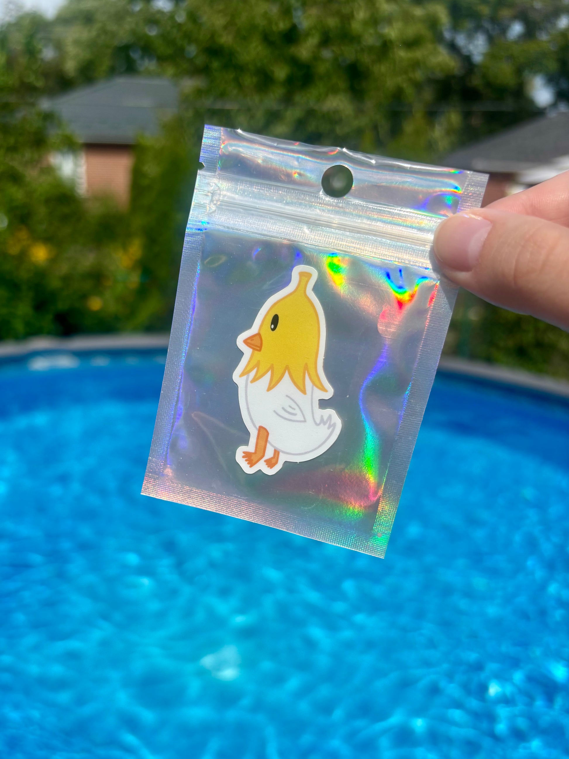 Banana goose - Stickers